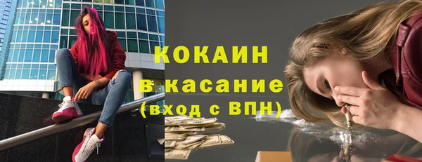 соль ск Сосновый Бор